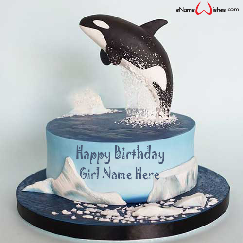 Dolphin birthday cake … | Dolphin birthday cakes, Cool birthday cakes,  Mermaid birthday cakes